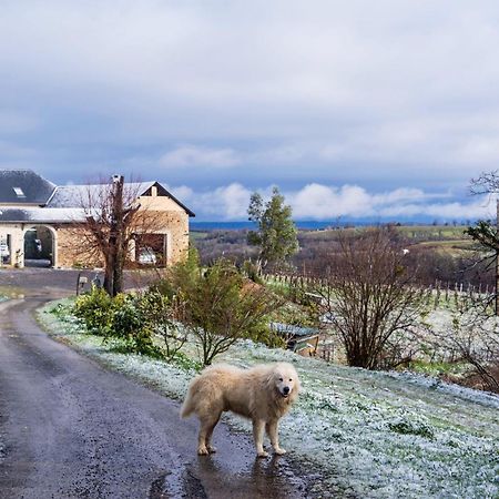 Pesaulhe Bed & Breakfast Monein Eksteriør bilde