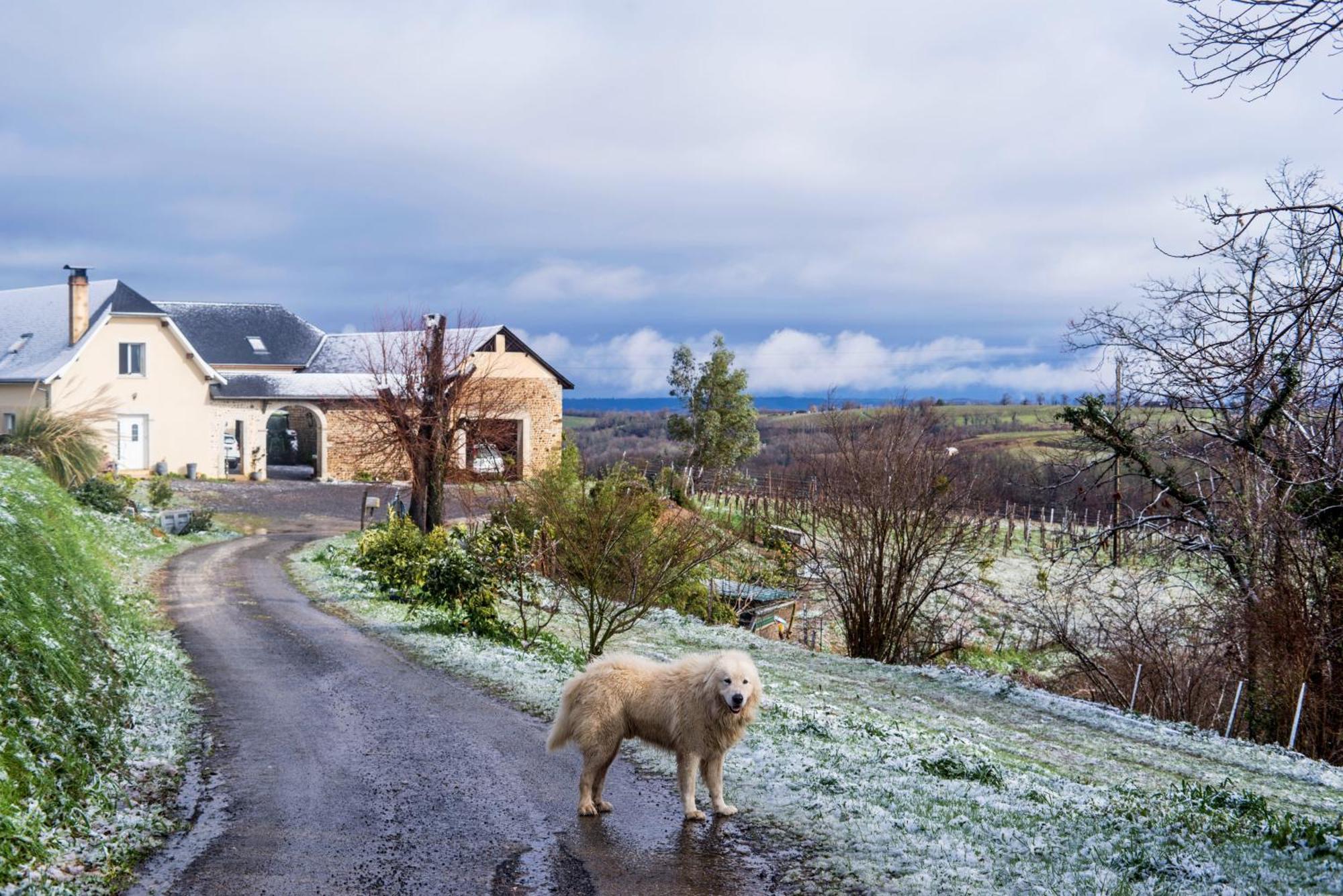 Pesaulhe Bed & Breakfast Monein Eksteriør bilde